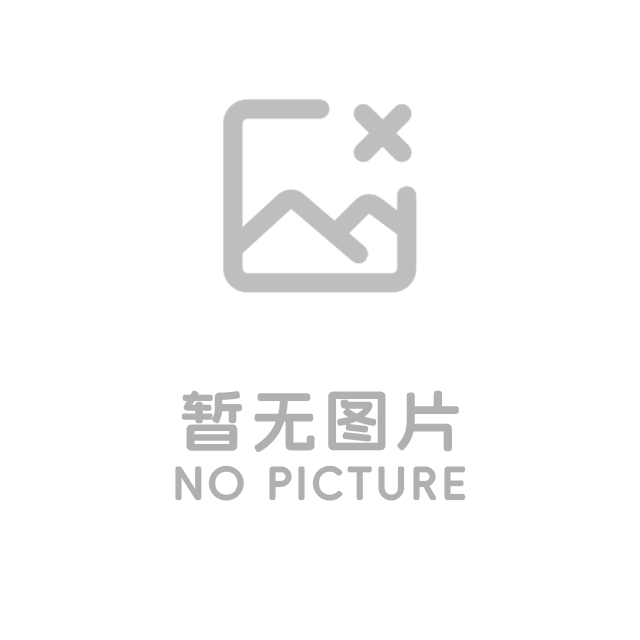 网站安全漏洞的定期检测与修复：守护数字资产的关键防线
